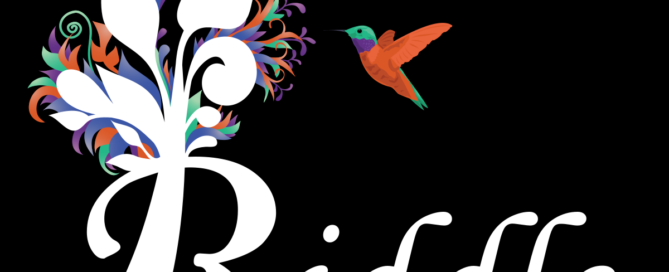 Riddle Technology Services Main Logo